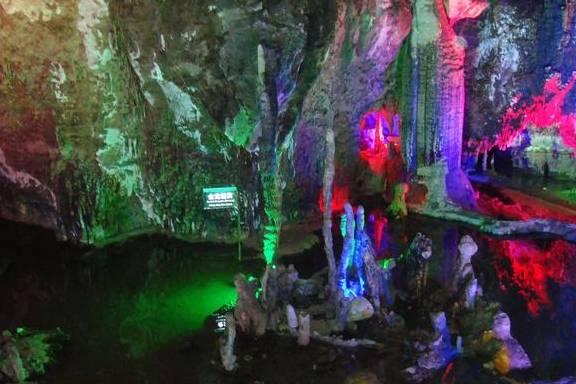 代表委员说|华天泽:建议成立湿地科研机构和保护基金会